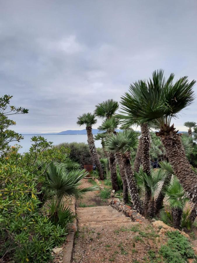 Villa Flora Argentario Porto Santo Stefano  Buitenkant foto