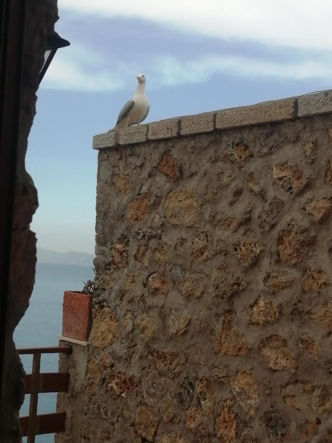 Villa Flora Argentario Porto Santo Stefano  Buitenkant foto
